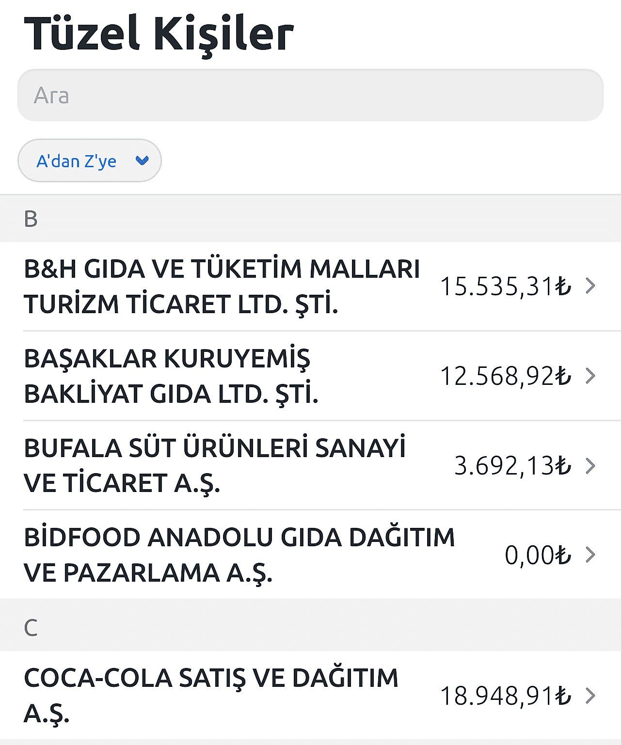 tüzel kişi hesapları